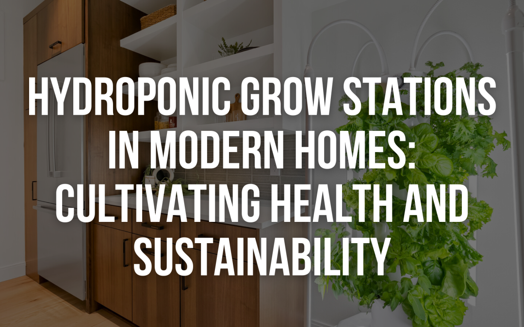 Hydroponic Grow Stations in Modern Homes: Cultivating Health and Sustainability