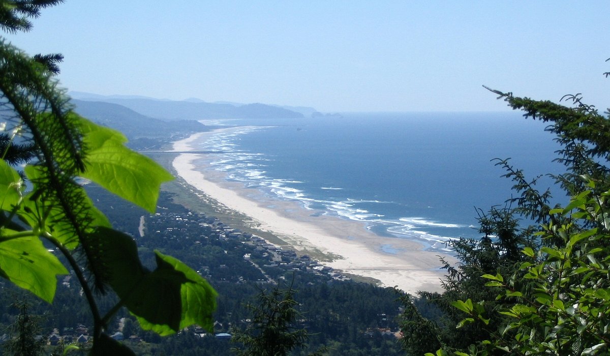 High-angle view of a long sandy beach and coastline framed by green foliage in the foreground.